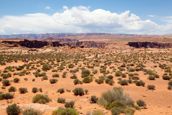 134d9499fc3f70eea99fe246205e611a_1638195963_9672.jpg