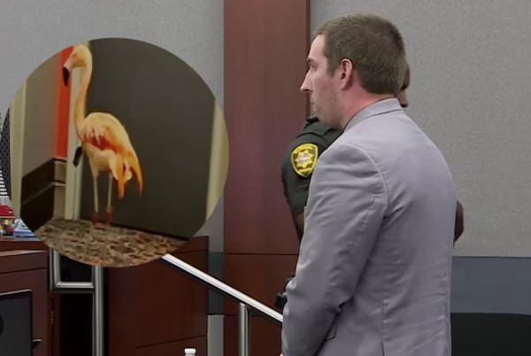 d12110501530fa9c4d78a5ca52287421_1792513750_9832.jpg